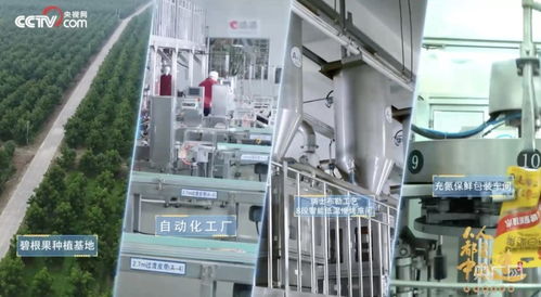 洽洽食品 把控品质从全产业链着手