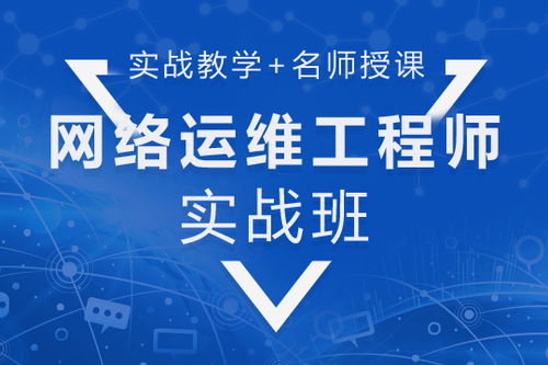 网络工程 网络管理 系统管理 网络运维