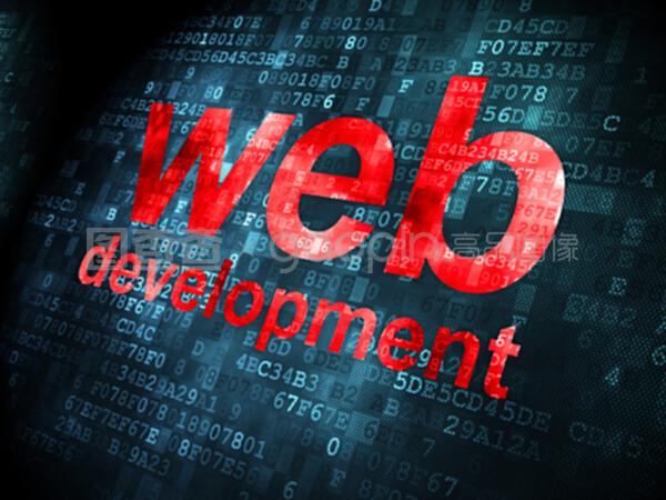 数字背景下的SEO网络开发 概念与实践