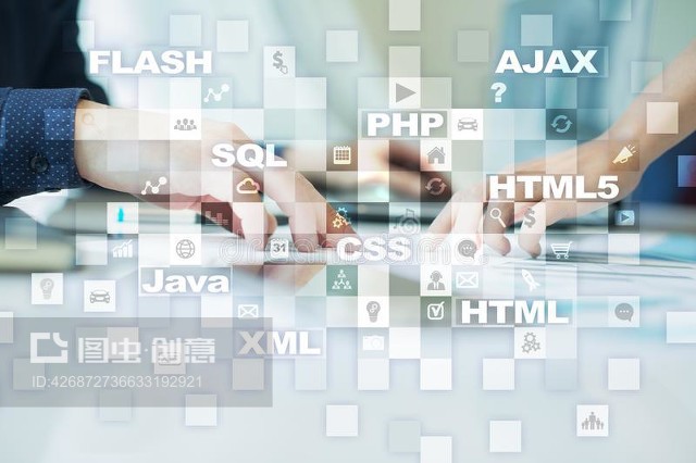 网络开发 连接创意与现实的编程艺术