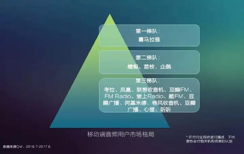 2017中国网络视听发展报告 用户付费意识崛起与网生内容品质化转型